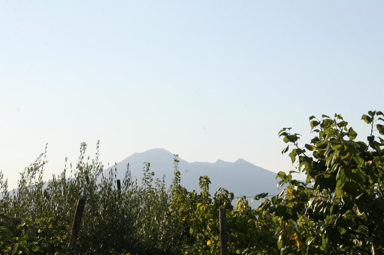Agriturismo A Do' Cumparone Corbara  ภายนอก รูปภาพ