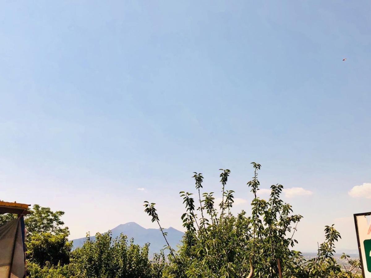 Agriturismo A Do' Cumparone Corbara  ภายนอก รูปภาพ