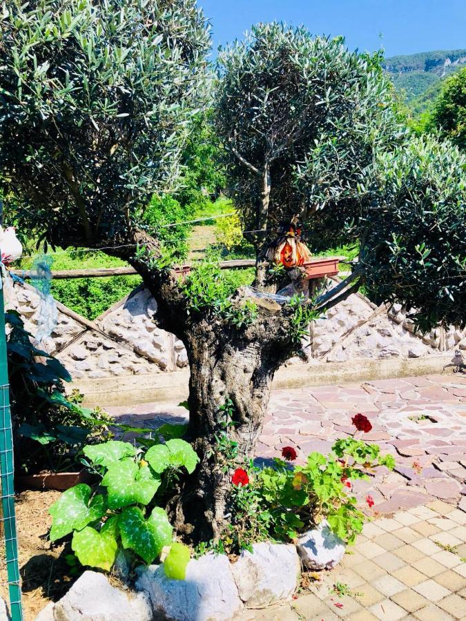 Agriturismo A Do' Cumparone Corbara  ภายนอก รูปภาพ